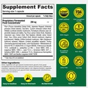 dr-ohhira-s-3-in-1-probiotics-prebiotics-6.jpg