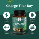 green-coffee-bean-extract-for-metabolism-2.jpg