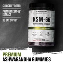 jacked-factory-ashwagandha-gummies-ksm-6-2.jpg