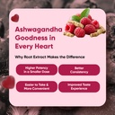 weightworld-ashwagandha-gummies-for-stre-5.jpg