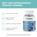 himalaya-ashwagandha-organic-gummies-ksm-4.jpg