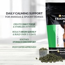 perfect-prep-eq-training-day-pellets-sho-3.jpg