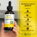 maxx-herb-lemon-balm-extract-max-strengt-3.jpg