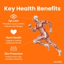 astadaily-all-in-one-astaxanthin-supplem-3.jpg