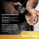 primegenix-testodren-advanced-testostero-4.jpg