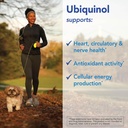 patient-one-ubiquinol-100-mg-supplement--4.jpg