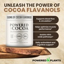 high-flavanol-cocoa-powder-1500mg-cocoa--3.jpg
