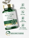 carlyle-mullein-leaf-extract-200-capsule-4.jpg