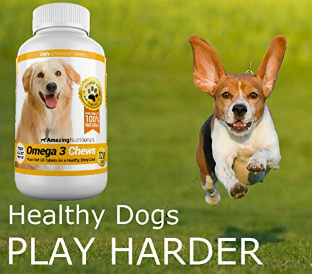 amazing-omega-3-for-dogs-fish-oil-for-do-4.jpg