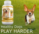 amazing-omega-3-for-dogs-fish-oil-for-do-4.jpg