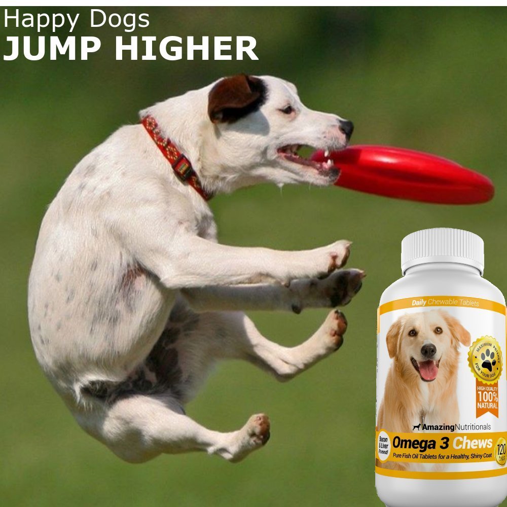 amazing-omega-3-for-dogs-fish-oil-for-do-3.jpg