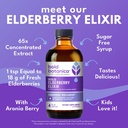bold-botanica-elderberry-elixir-65x-conc-3.jpg