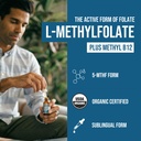 organic-l-methylfolate-7-5-mg-plus-methy-2.jpg
