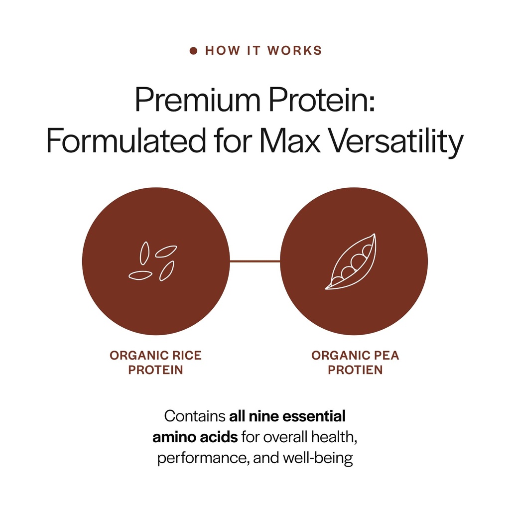 gainful-everyday-plant-protein-powder-23-5.jpg