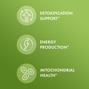 dr-mercola-methyl-folate-supports-detoxi-4.jpg