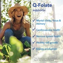 patient-one-q-folate-800mcg-supplement-t-4.jpg