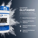 gaspari-nutrition-glutamine-pure-l-gluta-3.jpg