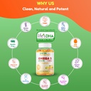shifaa-nutrition-vegan-omega-3-gummies-f-4.jpg