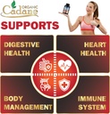 cadane-premium-berberine-extract---berbe-5.jpg