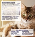 amino-b-plex-liquid-pet-supplement-with--4.jpg