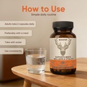 men-s-vitality-supplement-arctic-herbal--6.jpg
