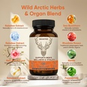 men-s-vitality-supplement-arctic-herbal--4.jpg