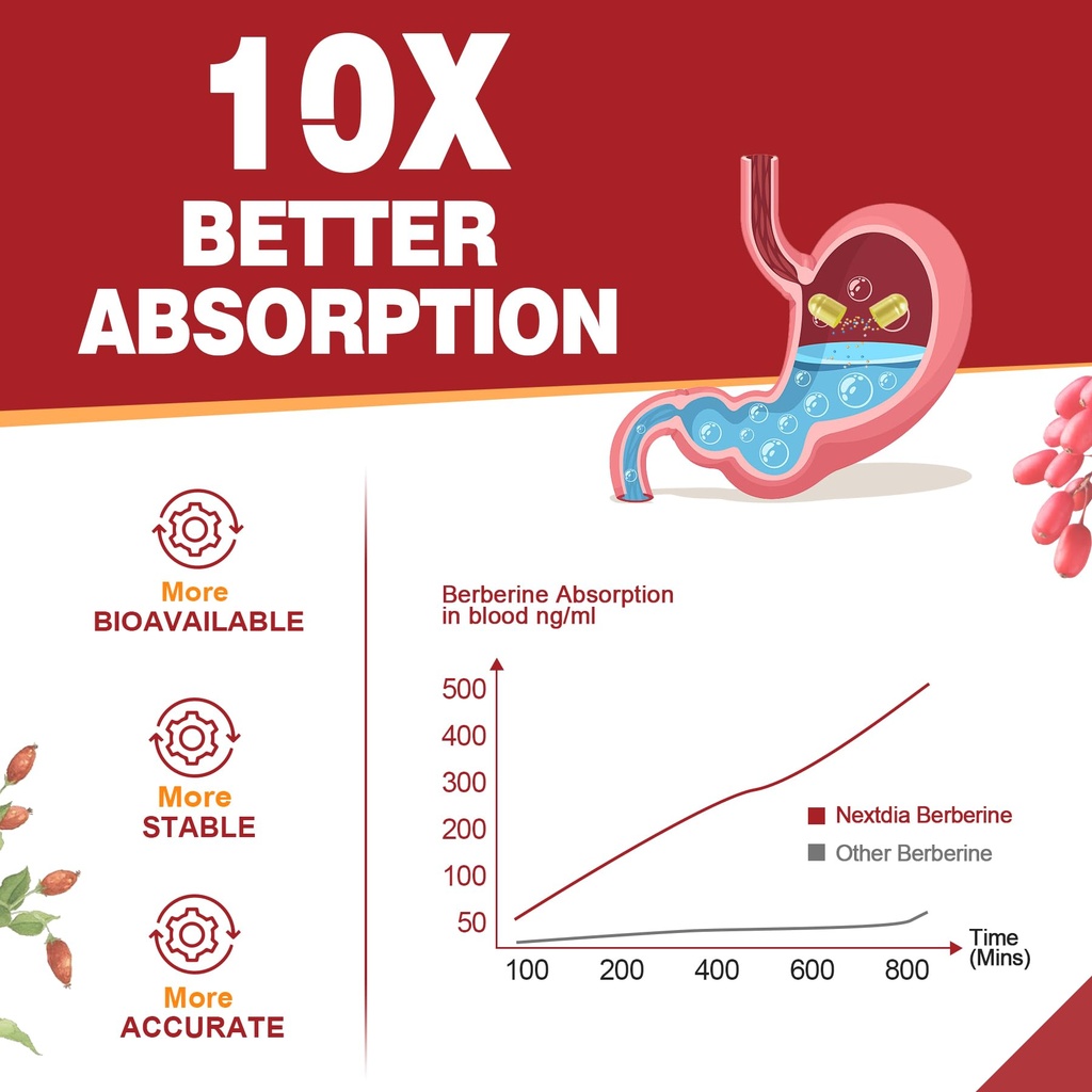 berberine-supplement-organic-1500mg-with-4.jpg