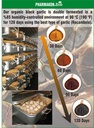 pharmakon-aged-black-garlic-potent-soft--3.jpg