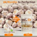aged-garlic-extract-300-softgels-odorles-2.jpg
