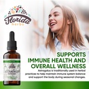 astragalus-tincture-organic-astragalus-e-2.jpg