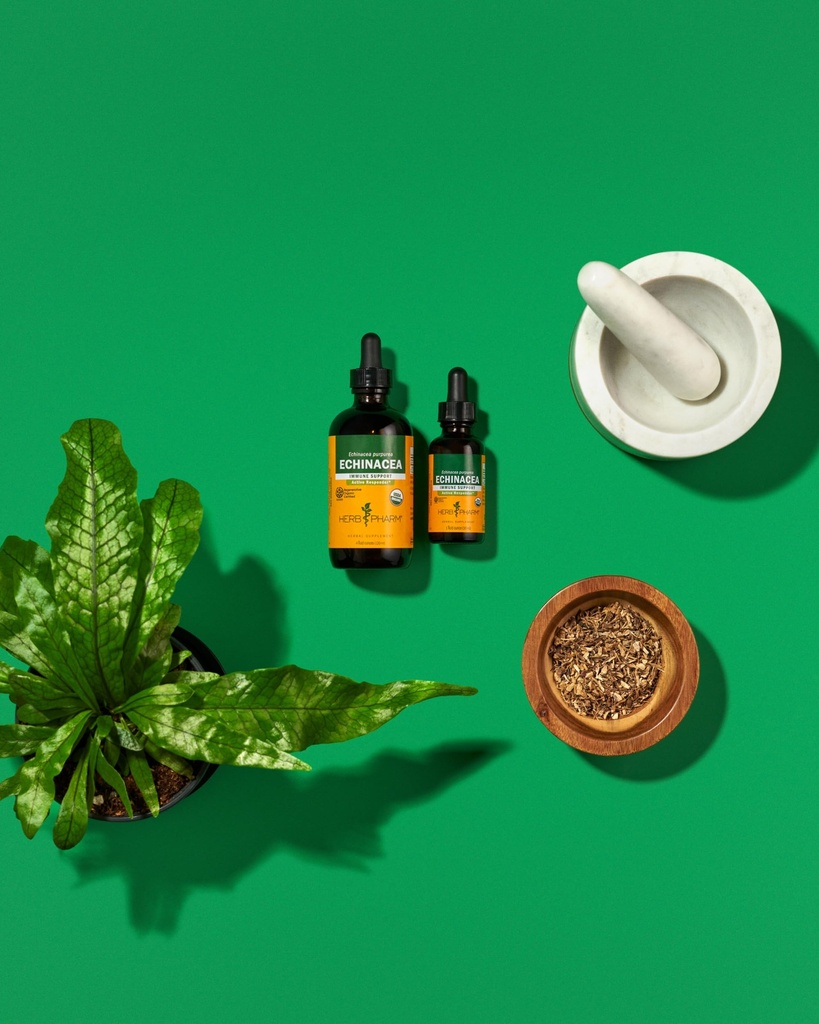 herb-pharm-certified-organic-echinacea-r-4.jpg