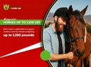 ivermectin-horse-paste-1-87-apple-flavor-5.jpg