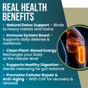 perfect-chlorella-capsules-5.jpg