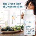 biogena-chlorella-plus-c-green-alga-supp-6.jpg