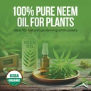 pure-virgin-organic-neem-oil-for-skin-ha-2.jpg