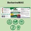 nature-s-answer-berberinemax-680mg-advan-3.jpg