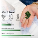 recoverybits-organic-chlorella-tablets-p-6.jpg