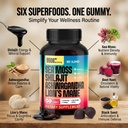 kjhd-shilajit-ashwagandha-gummies-with-s-3.jpg