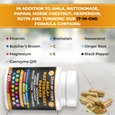 dash-of-vigor-amla-extract-nattokinase-p-5.jpg