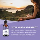 vimergy-usda-organic-zinc-supplements-fo-2.jpg