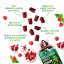 ashwagandha-gummies-advanced-ashwagandha-5.jpg