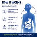 dvo-glp-1-inspired-appetite-suppressant--4.jpg