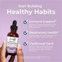 maryruth-s-organics-echinacea-purpurea-l-5.jpg