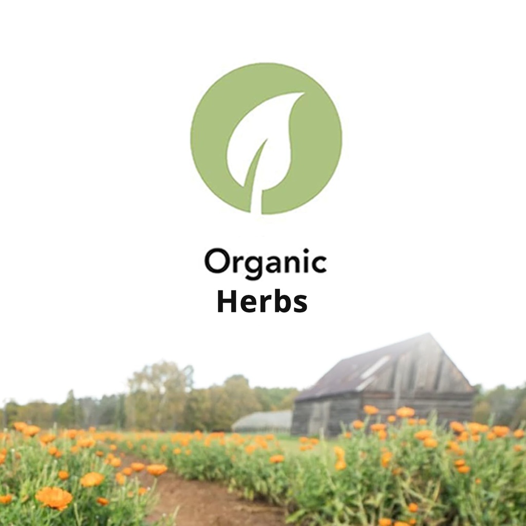 st-francis-herb-farm-deep-immune-kids-3--4.jpg