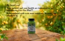 daily-manufacturing-eye-vite-plus-vitami-4.jpg