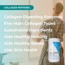 youngevity-multi-collagen-peptides-powde-4.jpg