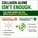 hcl-herbal-code-labs-collagen-peptides-p-5.jpg
