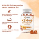 micro-ingredients-ksm-66-ashwagandha-gum-3.jpg