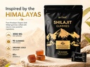 shilajit-gummies-pure-shilajit-himalayan-2.jpg