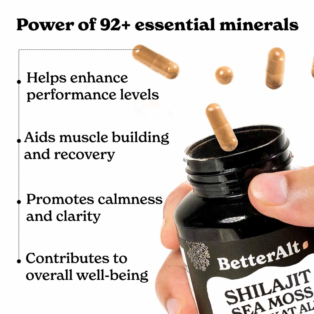 8800mg-shilajit-maca-root-ginkgo-biloba--2.jpg